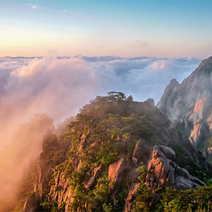 升降货梯载人如何处理掉违章_货车违规载人罚款金额_货车违法载人处罚标准